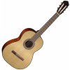 Cort AC10