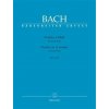 Partita a-moll pre priečnu flautu BWV 1013 Johann Sebastian Bach