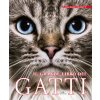grande libro dei gatti (Milena Band Brunetti)(Kniha) grande libro dei gatti (Milena Band Brunetti)(Kniha)