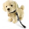 RAP Plyšový pes zlatý retriever s vodítkom 25 cm ECO-FRIENDLY RAP Plyšový pes zlatý retriever s vodítkom 25 cm ECO-FRIENDLY