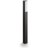 Massive Philips 16489/93/P0 Massive Philips 16489/93/P0