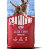 CARNILOVE ACTIVE Dog Dry Made with Salmon & Turkey for Adult All Breeds 4 kg CARNILOVE ACTIVE Dog Dry Made with Salmon & Turkey for Adult All Breeds 4 kg