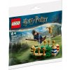 LEGO® Harry Potter 30651 Famfrpálový trénink LEGO® Harry Potter 30651 Famfrpálový trénink