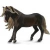 COLLECTA Kůň Švarcvaldský hřebec COLLECTA Kůň Švarcvaldský hřebec
