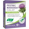 Evalar Extrakt z pestreca mariánskeho 20 tab Evalar Extrakt z pestreca mariánskeho 20 tab