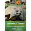 Mediterranean Tortoises: Gentle Creatures in Hard Shells Mediterranean Tortoises: Gentle Creatures in Hard Shells