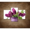 Svieže tulipány - 3dielny 90x60cm Svieže tulipány - 3dielny 90x60cm
