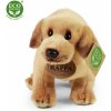 Eco-Friendly labrador stojaci 20 cm