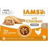 IAMS CAT mačiatko Chicken v omáčke 12 x 85 g