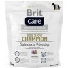 Brit Care dog Hypoallergenic Show Champion: špeciálne krmivo pre výstavných psov Hmotnosť balenia: 3 kg