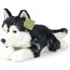 Rappa Plyšový pes husky 36 cm ECO-FRIENDLY Rappa Plyšový pes husky 36 cm ECO-FRIENDLY