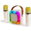 CONNECT IT 2Mic bezdrátový mini party karaoke reproduktor + 2 x mikrofon,BT,USB,USB-C/Micro SD, 3,5mm jack, CSP-1010-BG CONNECT IT 2Mic bezdrátový mini party karaoke reproduktor + 2 x mikrofon,BT,USB,USB-C/Micro SD, 3,5mm jack, CSP-1010-BG