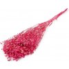 Stabilizovaný nevestin závoj zväzok pink 1zväzok Stabilizovaný nevestin závoj zväzok pink 1zväzok