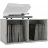 Úložný box na LP dosky drevotrieska Dekorhome Úložný box na LP dosky drevotrieska Dekorhome
