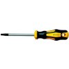 PROTECO 10.07-213-30 skrutkovač TORX TX30 x 100 mm PROTECO 10.07-213-30 skrutkovač TORX TX30 x 100 mm