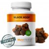 MycoMedica Phellinus 30% 90 kapsúl