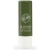 Olivolio Olioderm Lip Balm - Balzam na ústa s olivovým olejom 4.5 g Olioderm Lip Balm Olivolio Olioderm Lip Balm - Balzam na ústa s olivovým olejom 4.5 g Olioderm Lip Balm