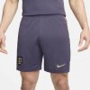 Kraťasy Nike Purple 7827652 Kraťasy Nike Purple 7827652