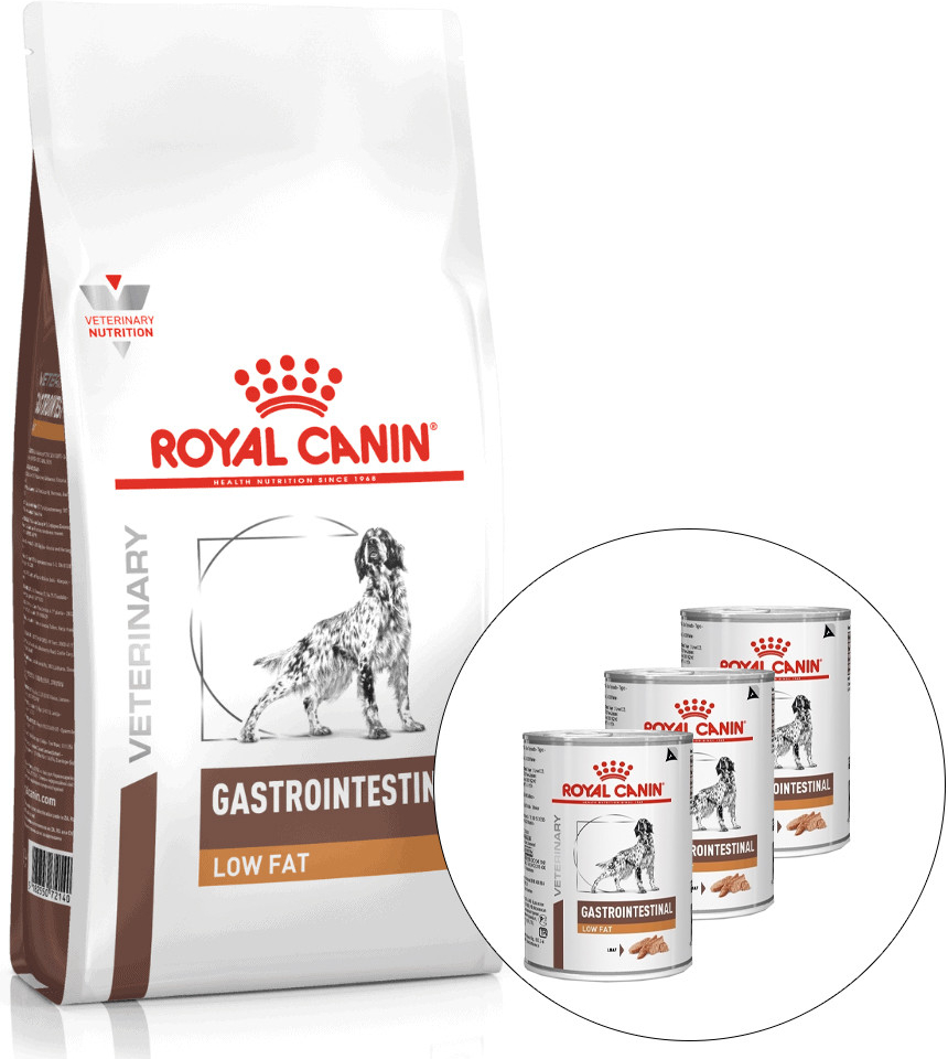 Royal Canin VHN Dog Gastrointestinal Low Fat 6 kg a 3 x Gastrointestinal Low Fat 410 g