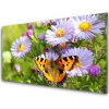 Obraz na skle Kvety motýľ príroda 100x50 cm Obraz na skle Kvety motýľ príroda 100x50 cm