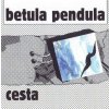 Cesta - Betula pendula Cesta - Betula pendula