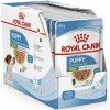 Royal Canin Dog Mini Puppy kapsičky 12 x 85 g Royal Canin Dog Mini Puppy kapsičky 12 x 85 g