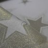 Vianočný obojstranný teflónový obrus zlatý Hviezdy 110x170cm Vianočný obojstranný teflónový obrus zlatý Hviezdy 110x170cm
