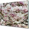 Sklenená doska na krájanie Kvety magnolia 60x52 cm Sklenená doska na krájanie Kvety magnolia 60x52 cm
