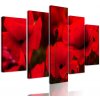 5-dielny obraz jedinečné divé maky 5-dielny obraz jedinečné divé maky