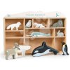 Drevené polárne zvieratká na poličke Polar Animals Shelf Tender Leaf Toys 10 druhov ľadových živočíchov Drevené polárne zvieratká na poličke Polar Animals Shelf Tender Leaf Toys 10 druhov ľadových živočíchov