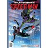 Miles Morales SpiderMan 3 - autor neuvedený Miles Morales SpiderMan 3 - autor neuvedený