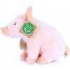 Rappa Plyšové prasa 18 cm ECO-FRIENDLY Rappa Plyšové prasa 18 cm ECO-FRIENDLY