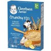 Gerber Junior nemléčná kaše ovocná s křupavými kousky 200 g Gerber Junior nemléčná kaše ovocná s křupavými kousky 200 g