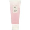 Beauty of Joseon Red Bean Water Gel 100 ml Beauty of Joseon Red Bean Water Gel 100 ml