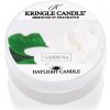 Kringle Candle Gardenia čajová sviečka 42 g Kringle Candle Gardenia čajová sviečka 42 g