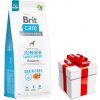 BRIT CARE Dog Grain-free Junior Large Breed Salmon 12kg + Prekvapenie Pre Vášho Psa BRIT CARE Dog Grain-free Junior Large Breed Salmon 12kg + Prekvapenie Pre Vášho Psa