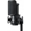 Shure SM4
