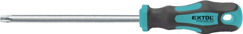 Extol Premium skrutkovač Torx T20x100mm 8819246