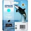 Epson T7602 Ink Cartridge Cyan C13T76024010 Epson T7602 Ink Cartridge Cyan C13T76024010