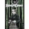 BLACK CLOVER V34 (V34)(Brožovaná) BLACK CLOVER V34 (V34)(Brožovaná)