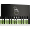 Alfaparf Milano Blends of Many energizujúce sérum pre suché a poškodené vlasy 12 x 10 ml