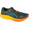 Asics Fuji Lite 5 M 1011B889 300