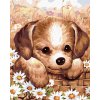 zuty Maľovanie podľa čísel - Šteniatko, 80x100 cm, bez rámu a bez vypnutia plátna (8596530009986) zuty Maľovanie podľa čísel - Šteniatko, 80x100 cm, bez rámu a bez vypnutia plátna (8596530009986)