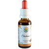 Salvia Paradise Chuchuasi AF tinktura 30ml Salvia Paradise Chuchuasi AF tinktura 30ml