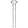 Black Diamond Trail Cork Trekking Poles fig 140 cm; kombinovaná hole Black Diamond Trail Cork Trekking Poles fig 140 cm; kombinovaná hole