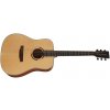 Tanglewood TS5