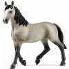 Schleich Kobyla plemena Selle Français Schleich Kobyla plemena Selle Français