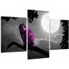 Obraz sovy (Obraz 90x60cm) Obraz sovy (Obraz 90x60cm)