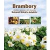 Brambory - Bohumil Vokál Brambory - Bohumil Vokál