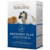 Supreme Science Recovery Plus 10x20 g